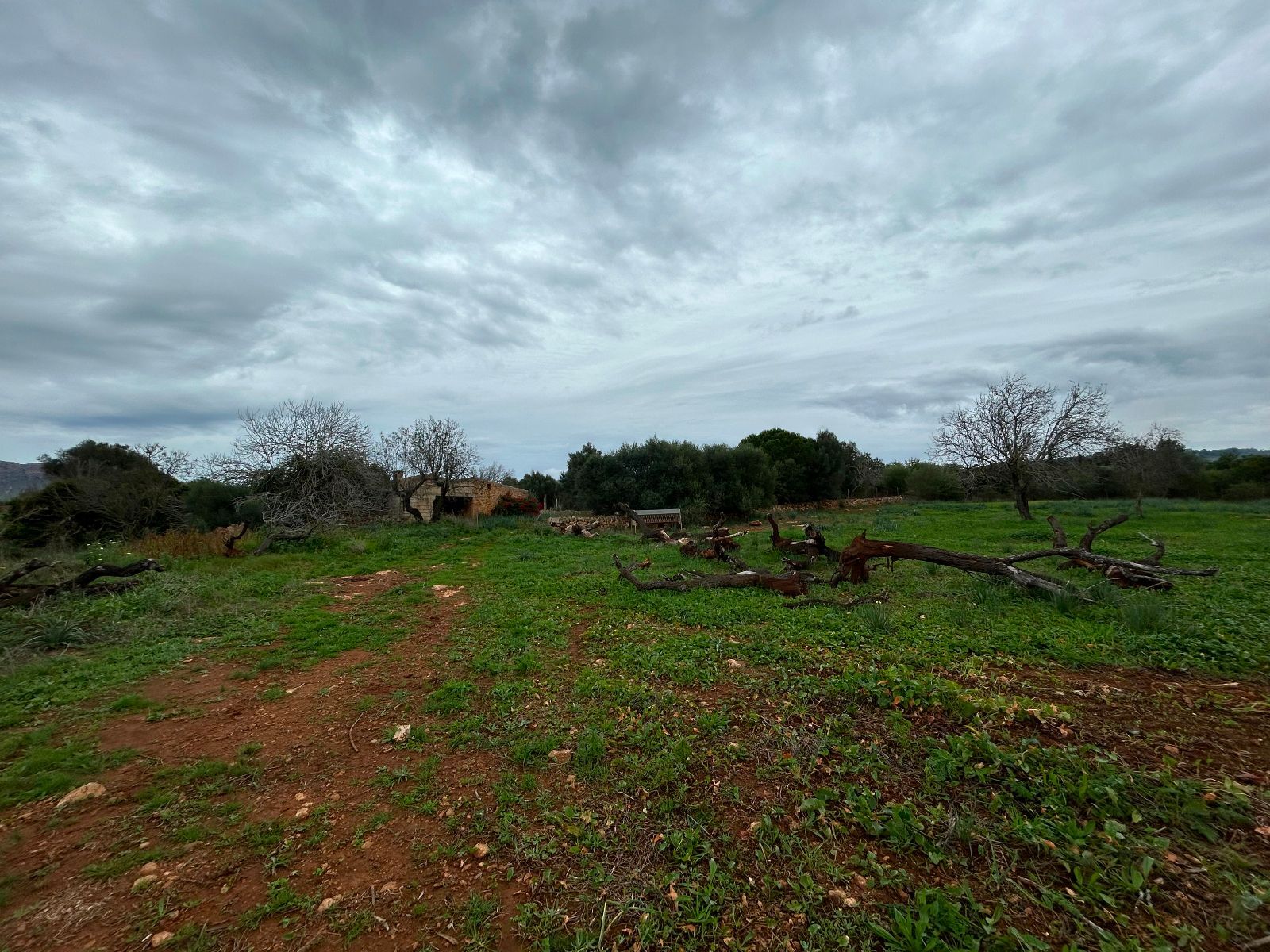 Casas o chalets-Venta-Petra-1977666-Foto-17
