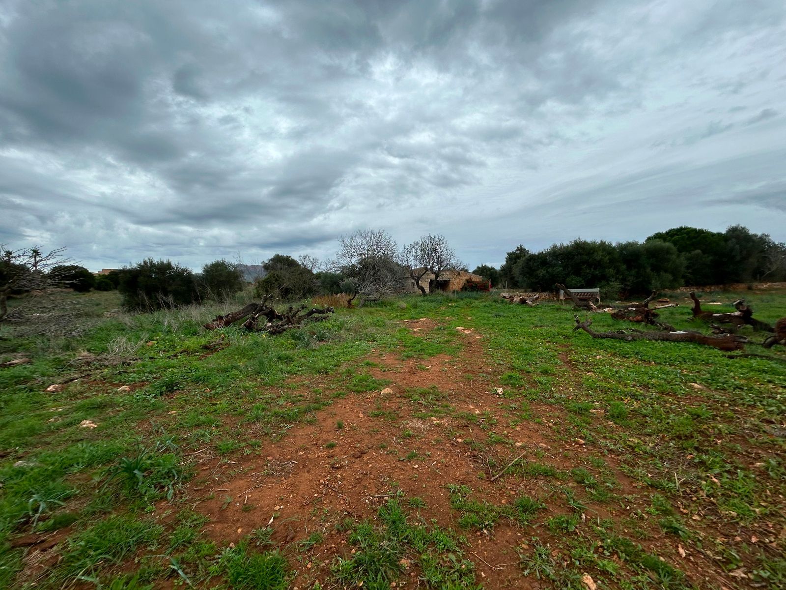 Casas o chalets-Venta-Petra-1977666-Foto-16