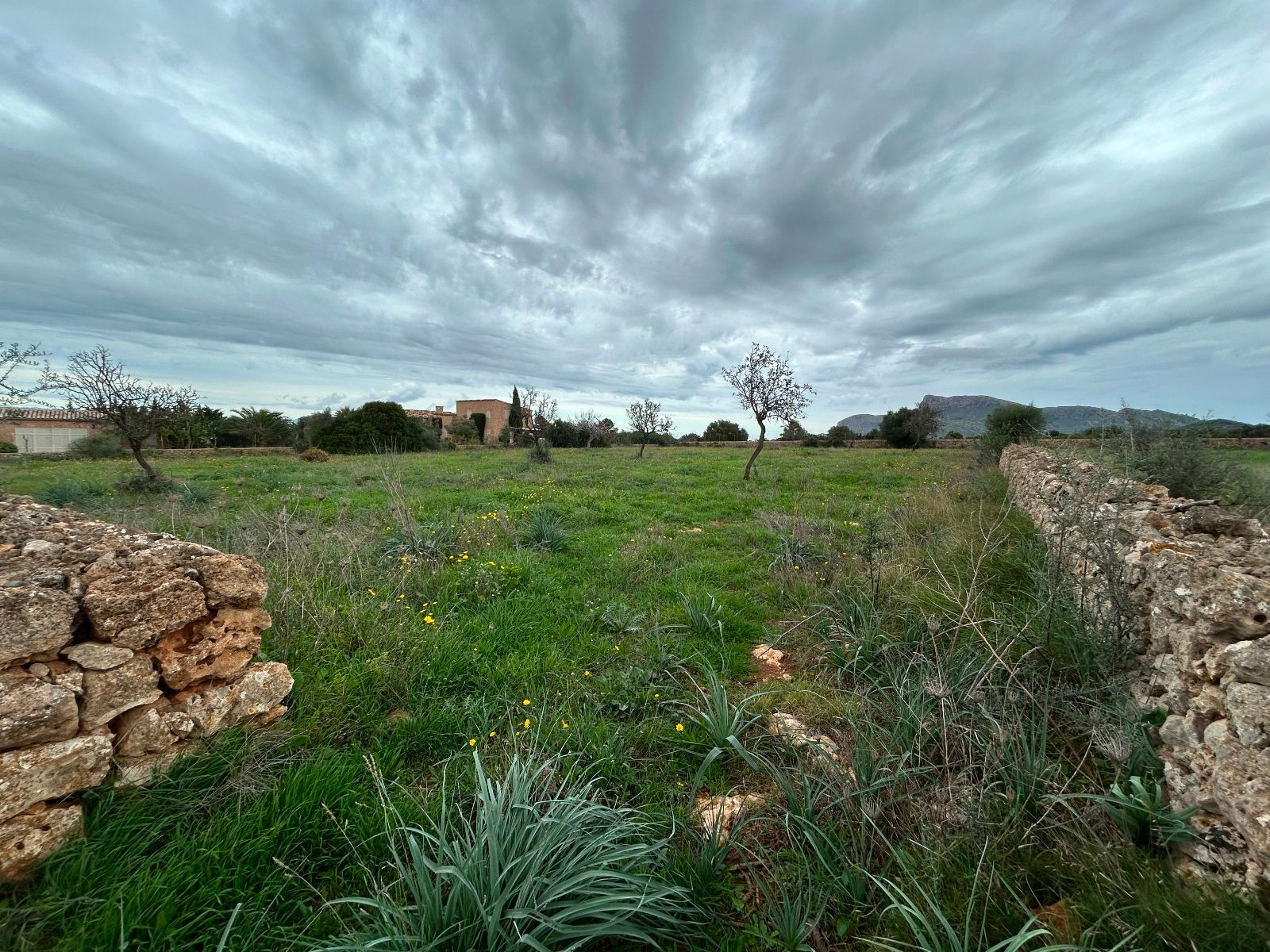 Casas o chalets-Venta-Petra-1977666-Foto-24