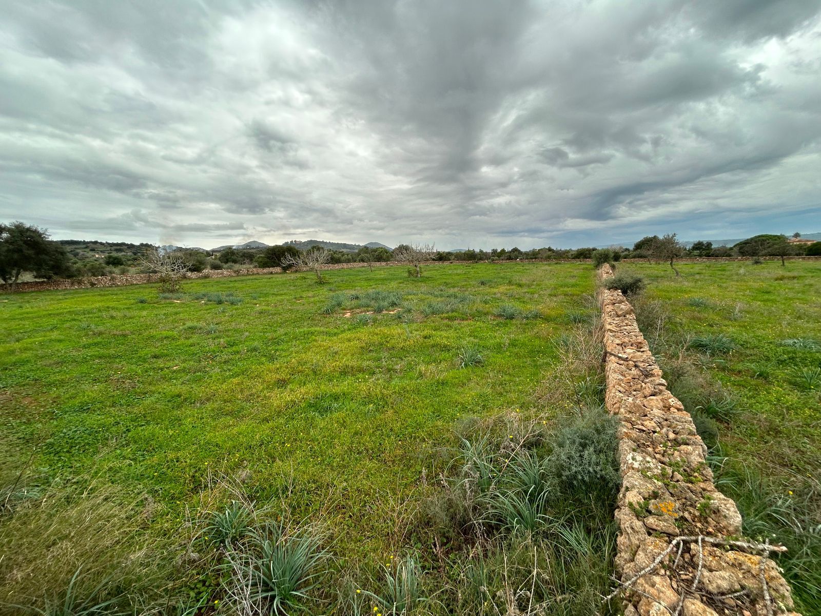 Casas o chalets-Venta-Petra-1977666-Foto-25