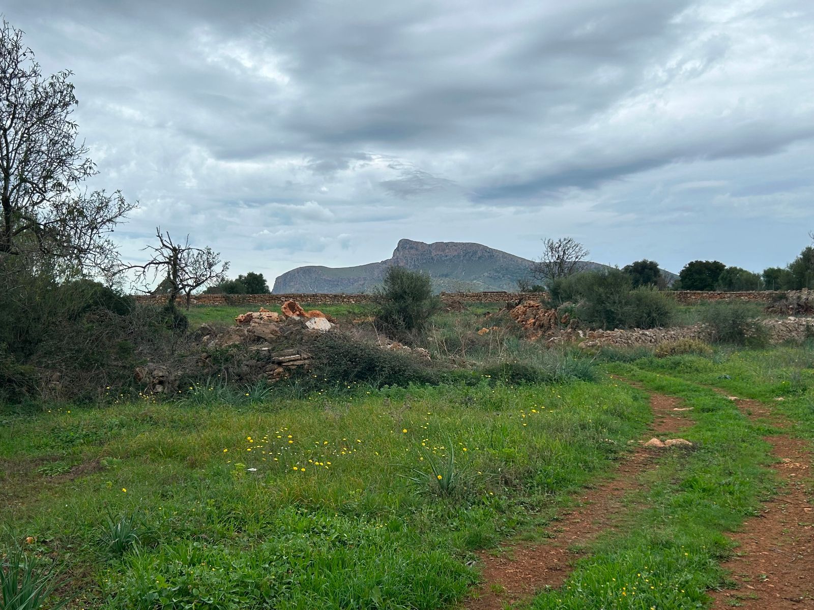 Casas o chalets-Venta-Petra-1977666-Foto-21