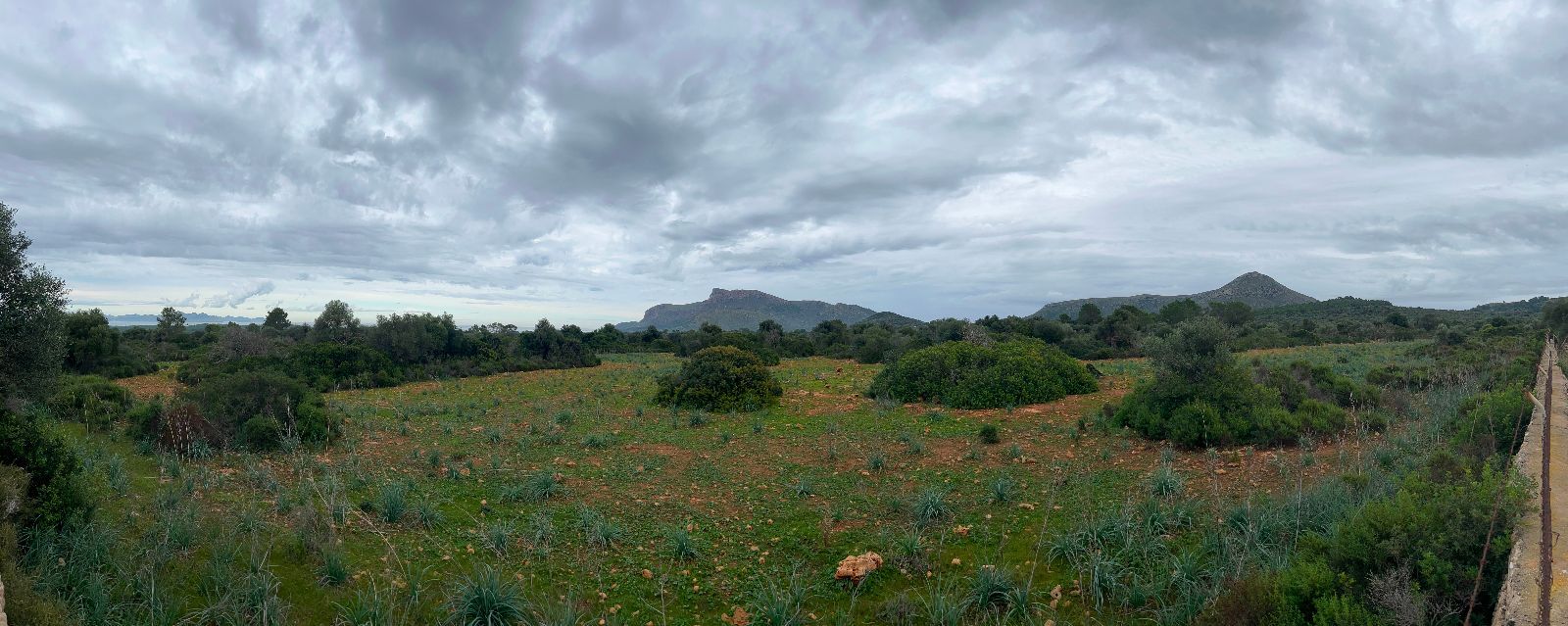 Casas o chalets-Venta-Petra-1977666-Foto-27