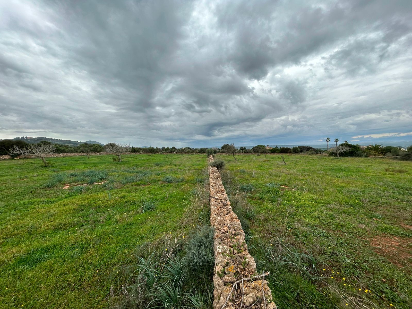 Casas o chalets-Venta-Petra-1977666-Foto-26