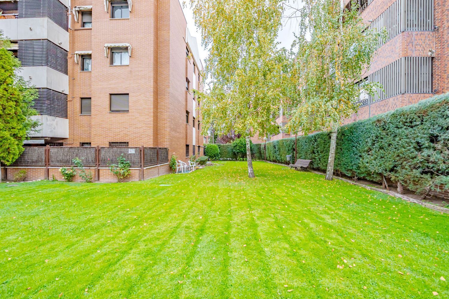 Pisos-Venta-Pozuelo de AlarcÃ³n-1977672-Foto-60