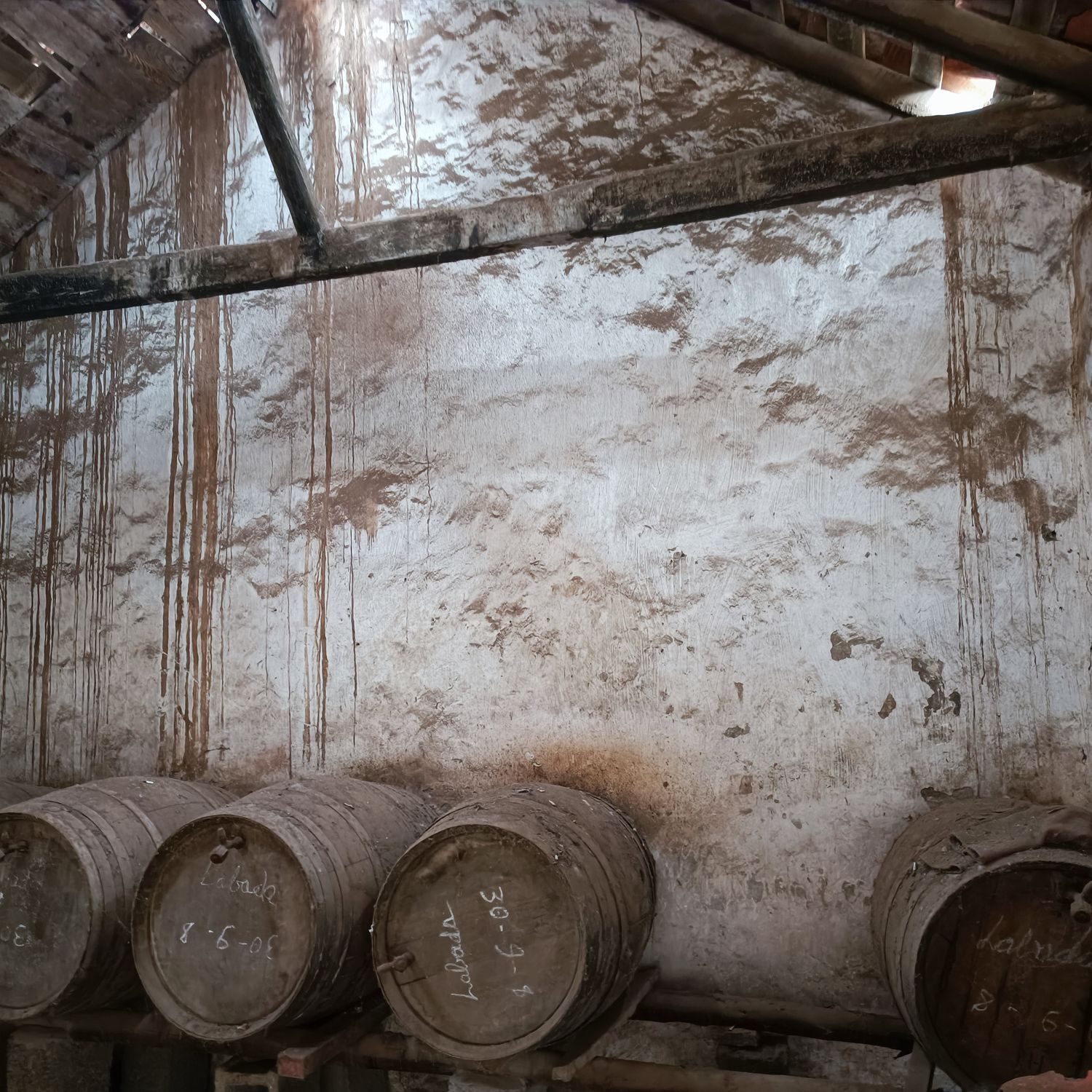 Pisos-Venta-Buenavista del Norte-1977678-Foto-3