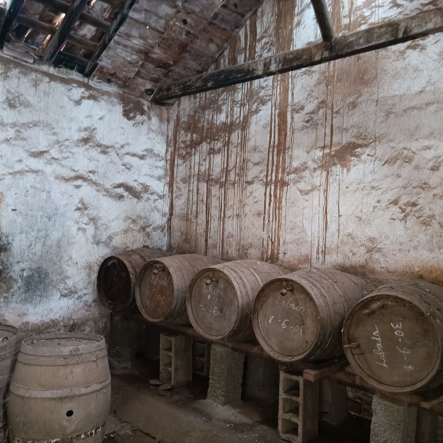 Pisos-Venta-Buenavista del Norte-1977678-Foto-4