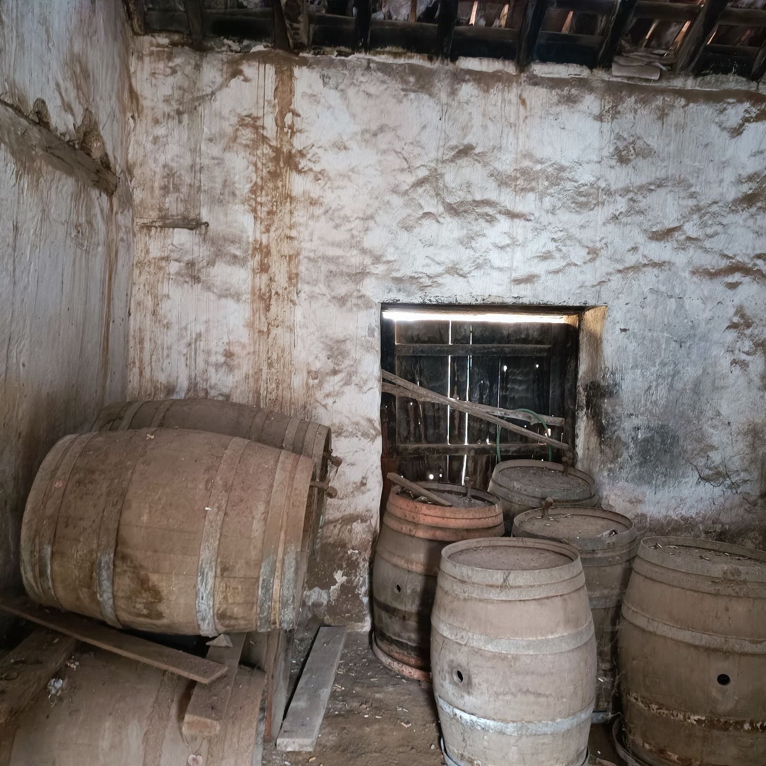 Pisos-Venta-Buenavista del Norte-1977678-Foto-2