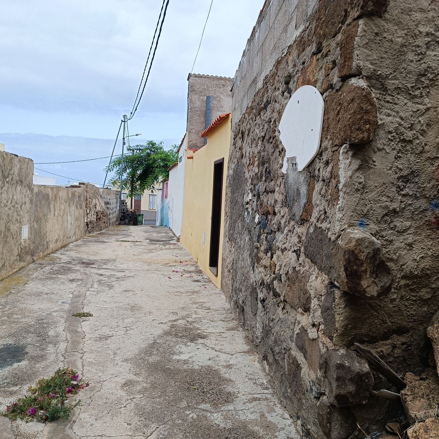 Pisos-Venta-Buenavista del Norte-1977678-Foto-6