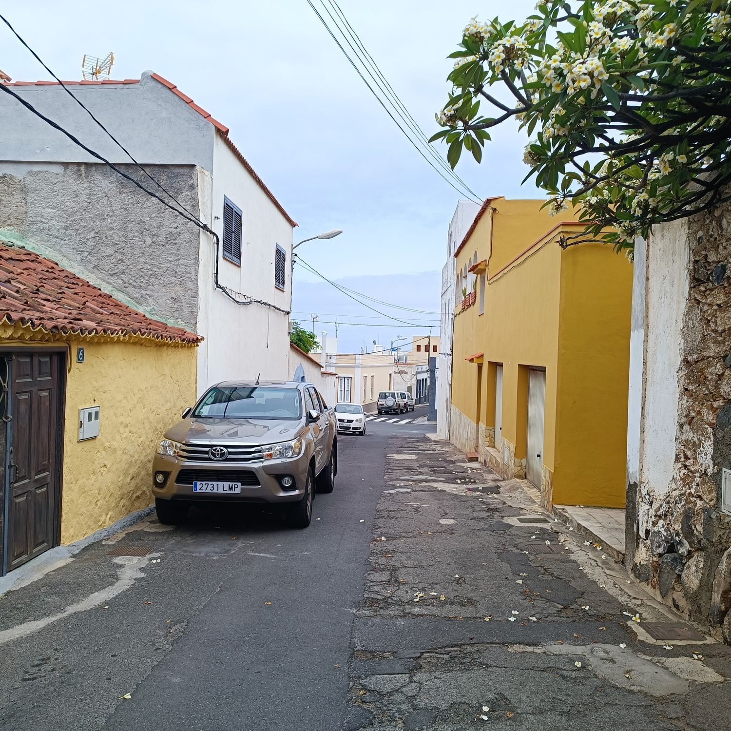 Pisos-Venta-Buenavista del Norte-1977678-Foto-7