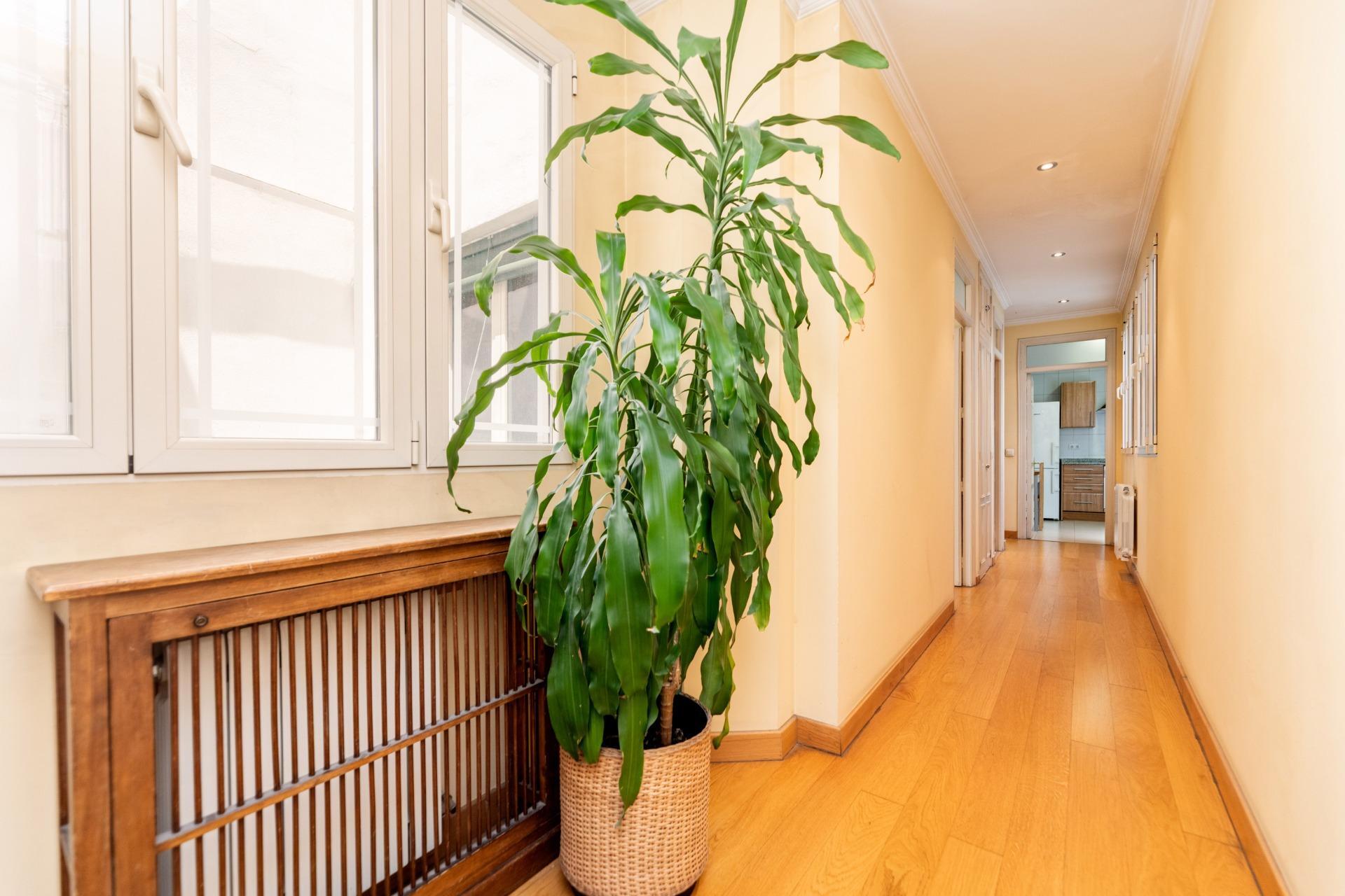 Pisos-Venta-Madrid-1763468-Foto-10