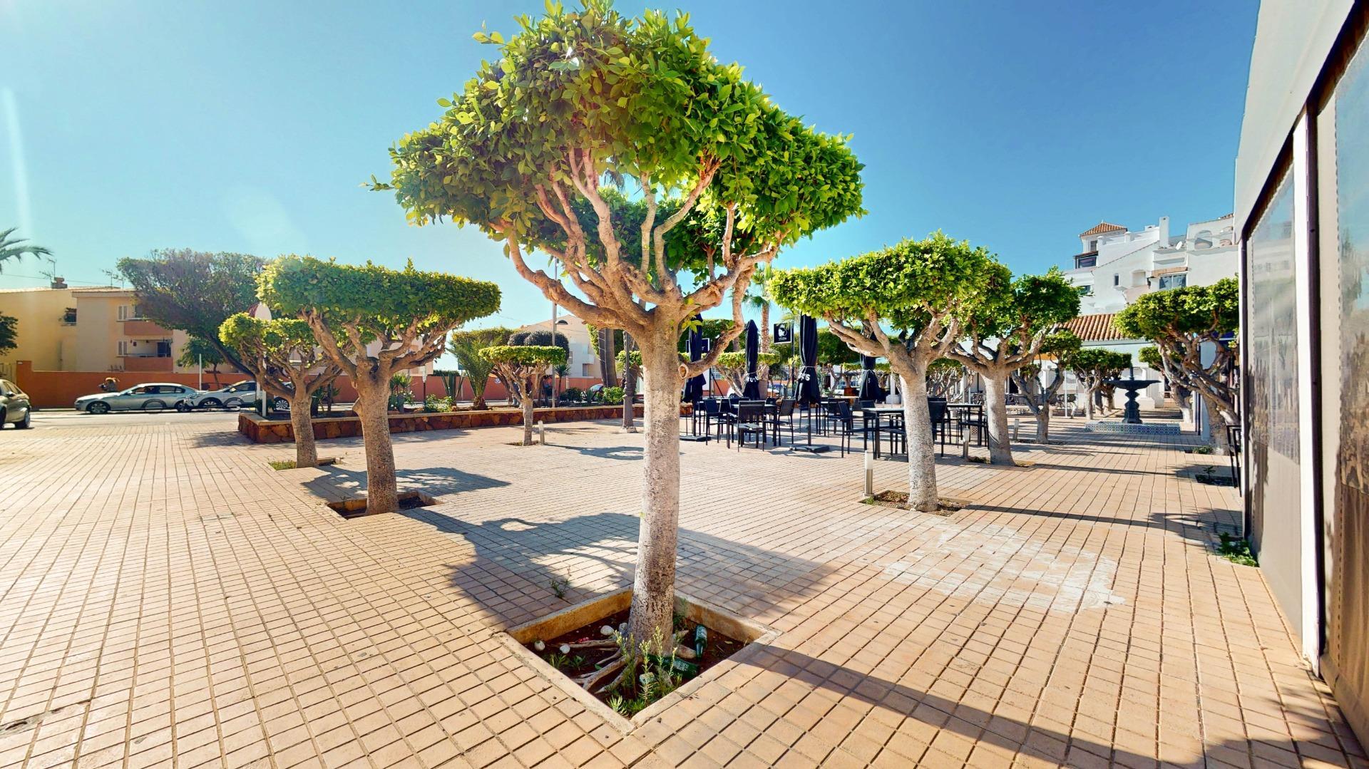 Negocios-Venta-Roquetas de Mar-1977729-Foto-18