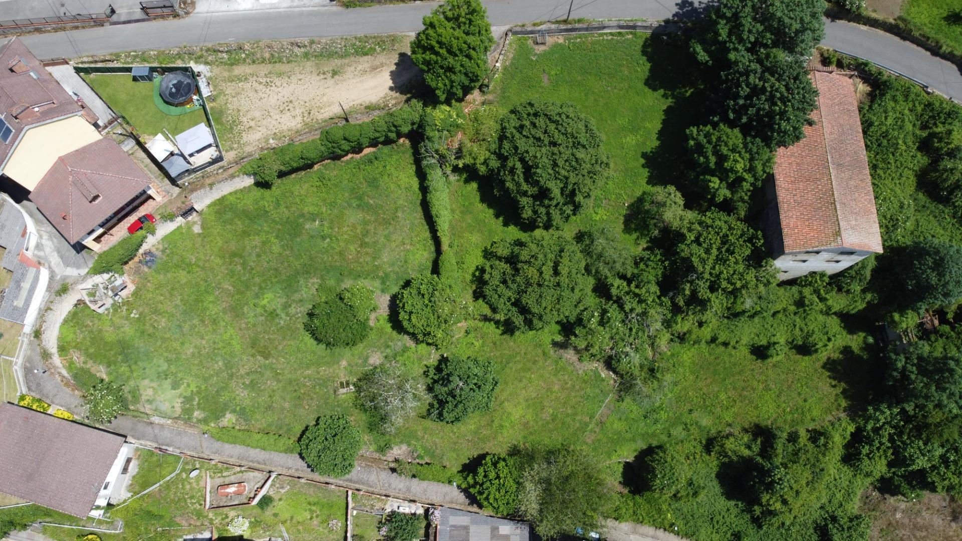 Fincas y solares-Venta-PiloÃ±a-1761201-Foto-6