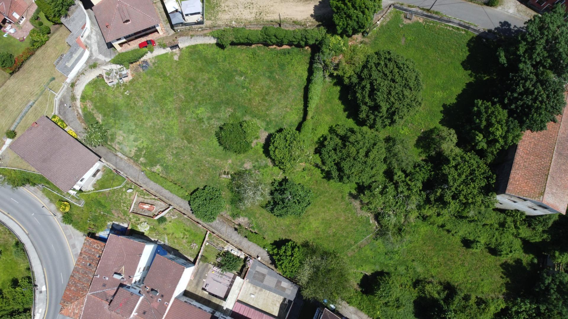 Fincas y solares-Venta-PiloÃ±a-1761201-Foto-7