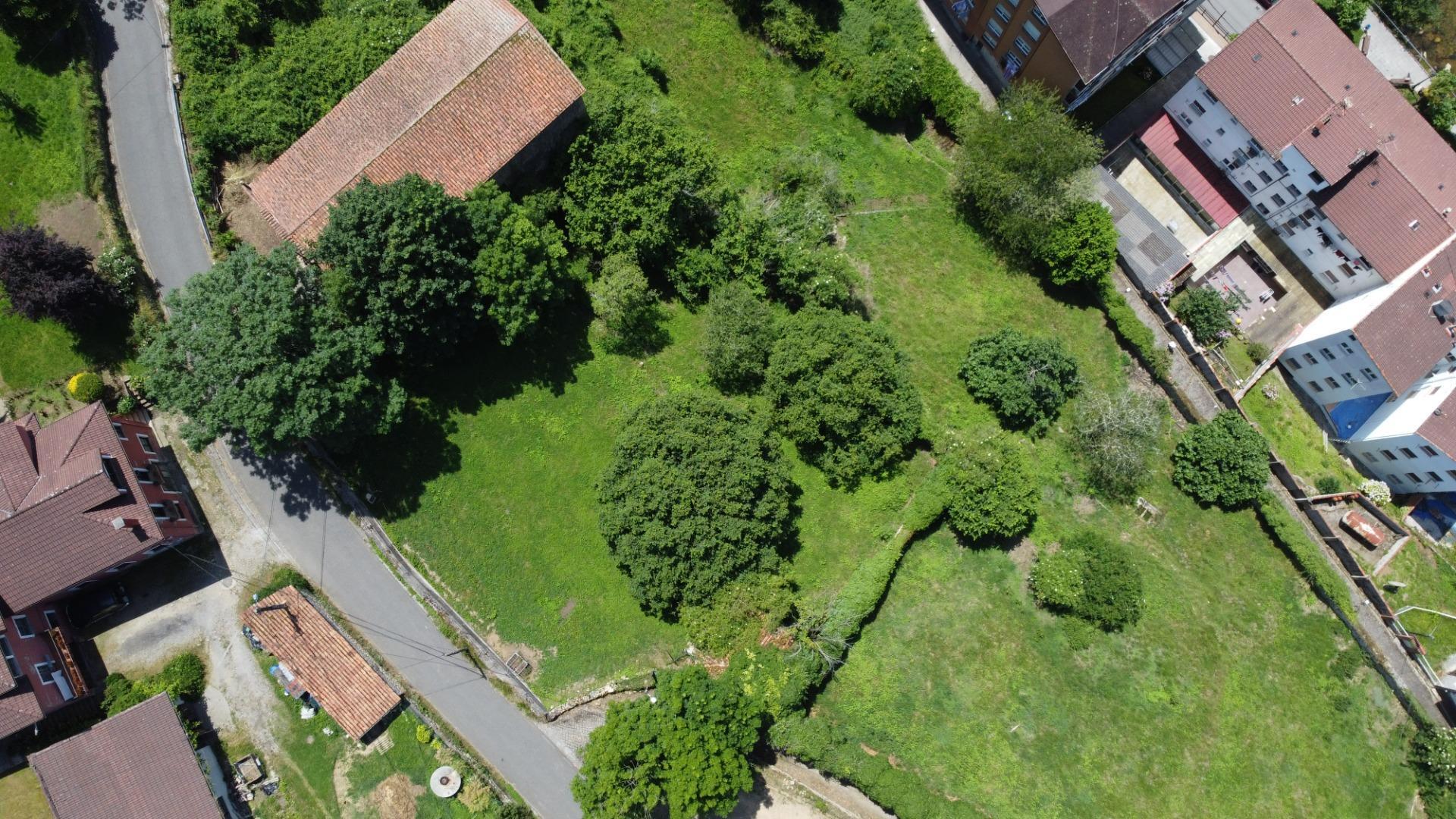 Fincas y solares-Venta-PiloÃ±a-1761201-Foto-12