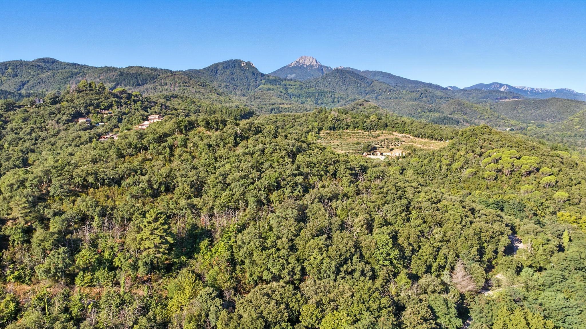 Casas o chalets-Venta-ArbÃºcies-1978423-Foto-5