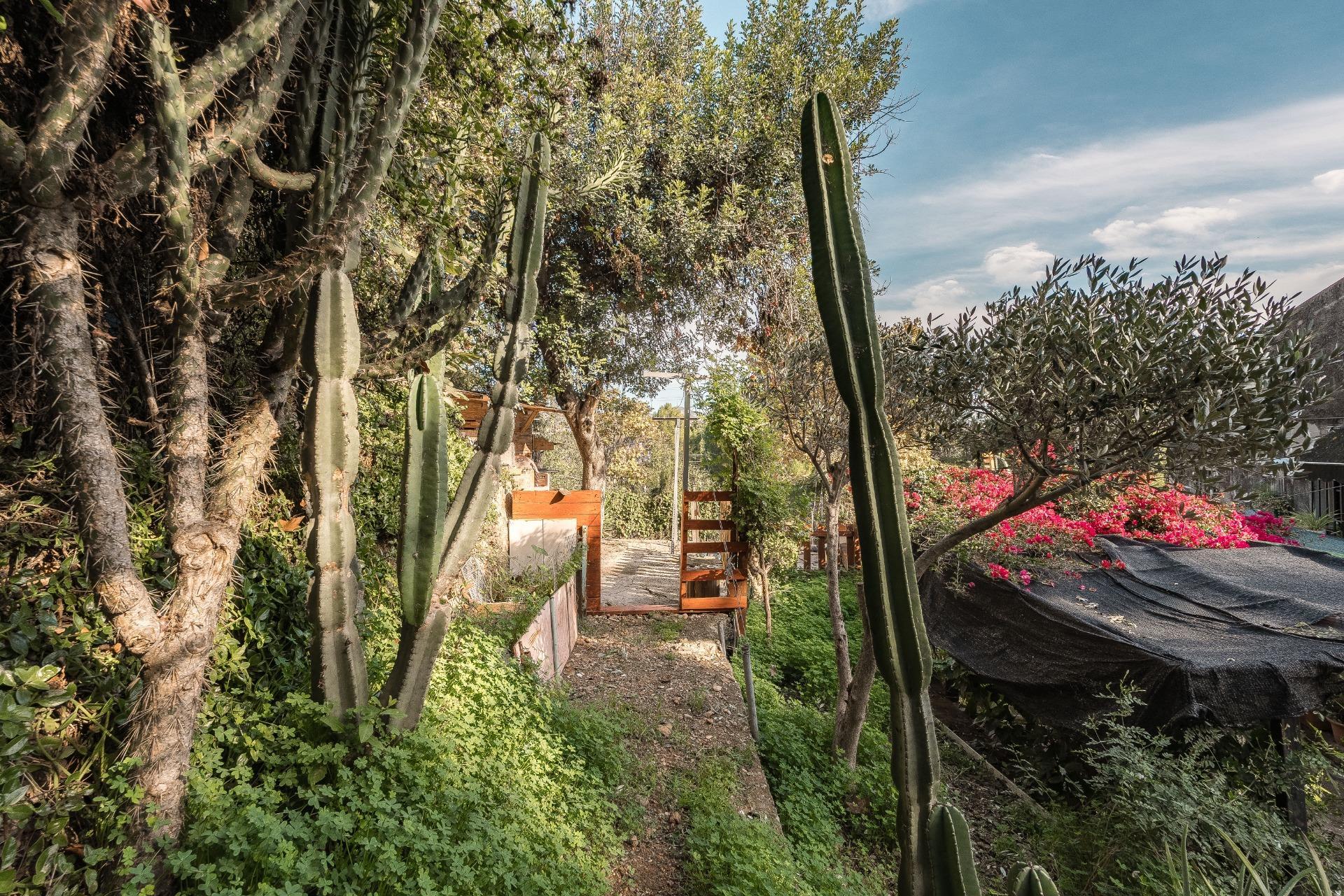 Pisos-Venta-Santa Coloma de CervellÃ³-1978402-Foto-8