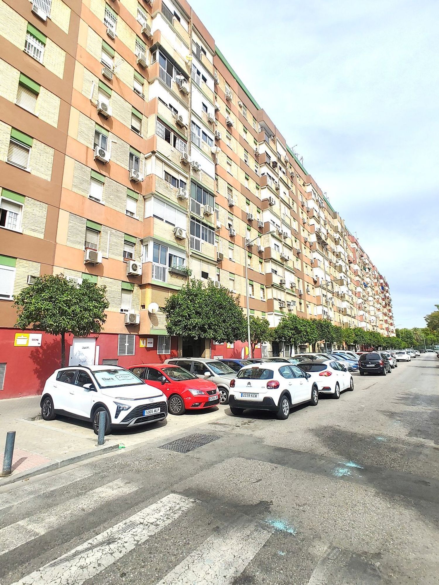 Pisos-Venta-Burguillos-1978375-Foto-16