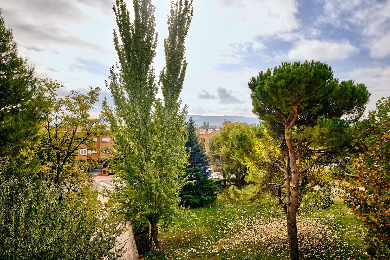 Pisos-Venta-TorrejÃ³n de Ardoz-1978378-Foto-4