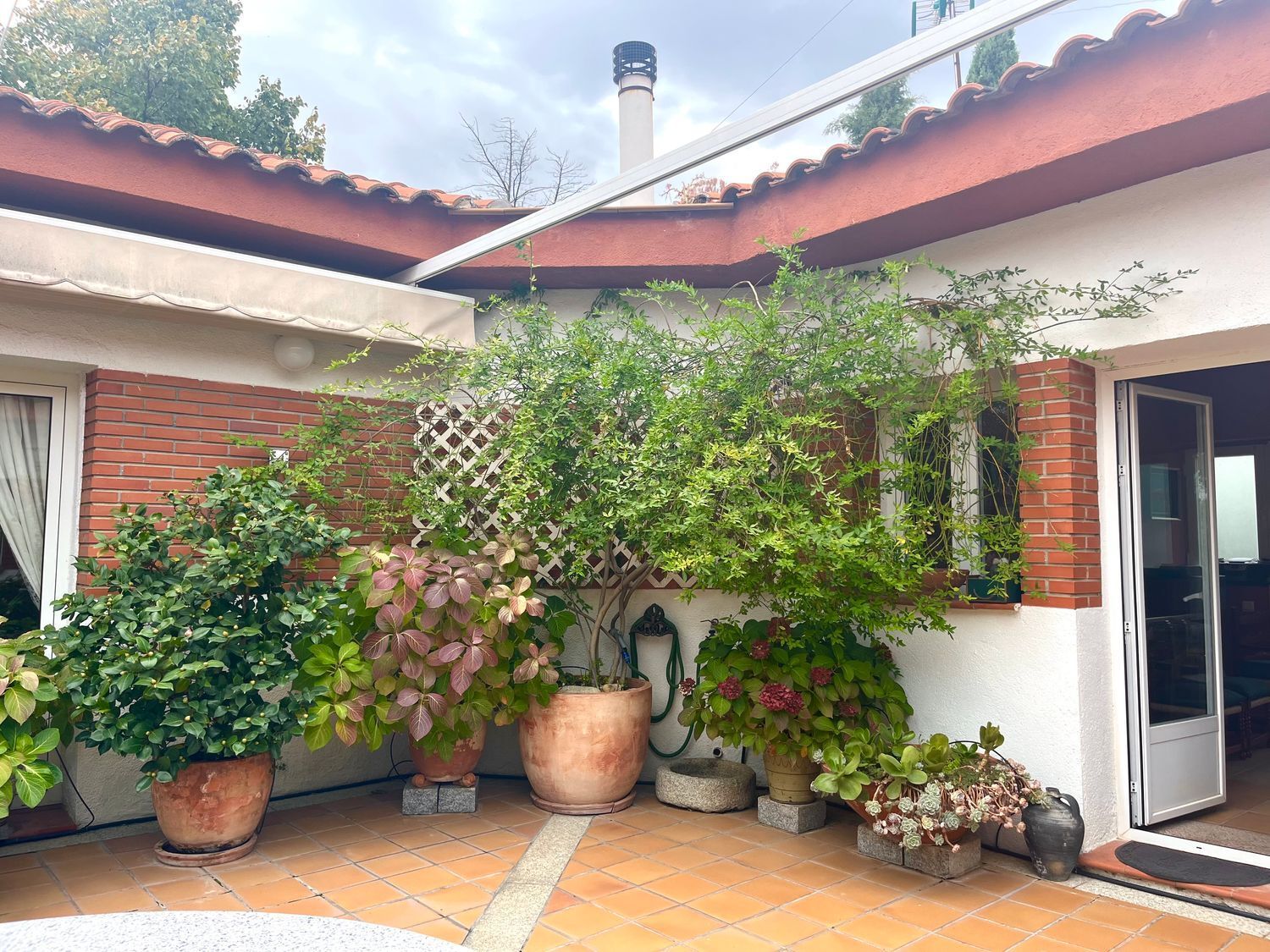 Casas o chalets-Venta-ArgÃ©s-1978381-Foto-3