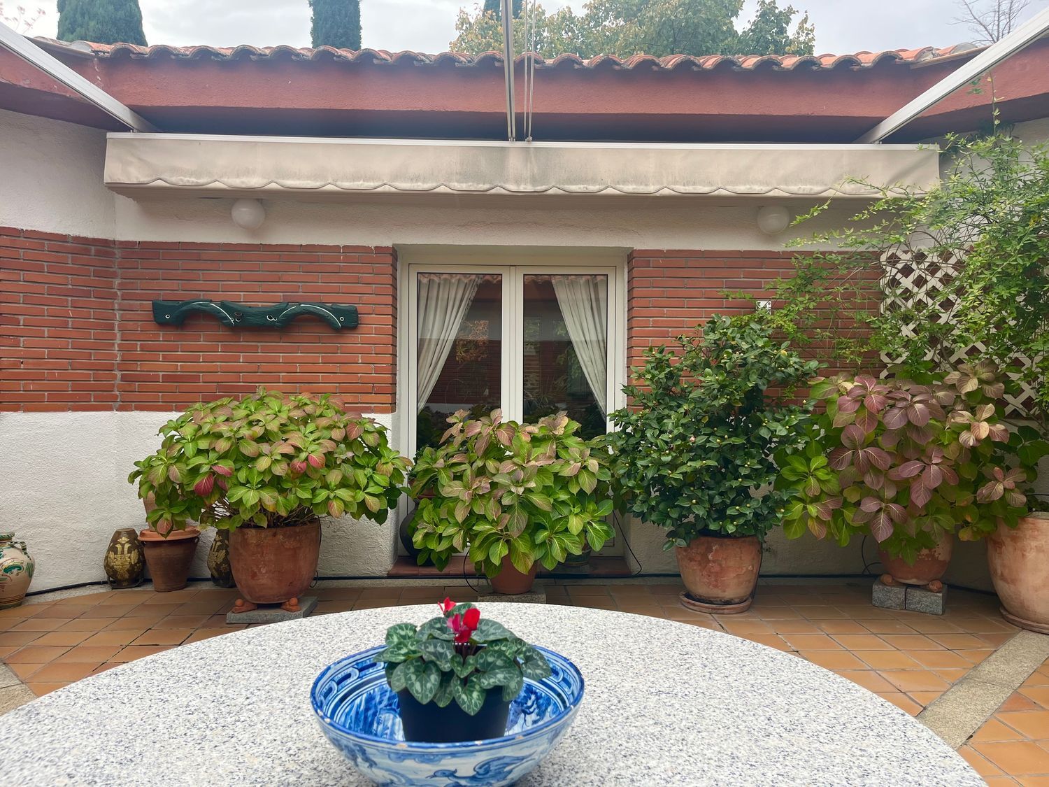 Casas o chalets-Venta-ArgÃ©s-1978381-Foto-11