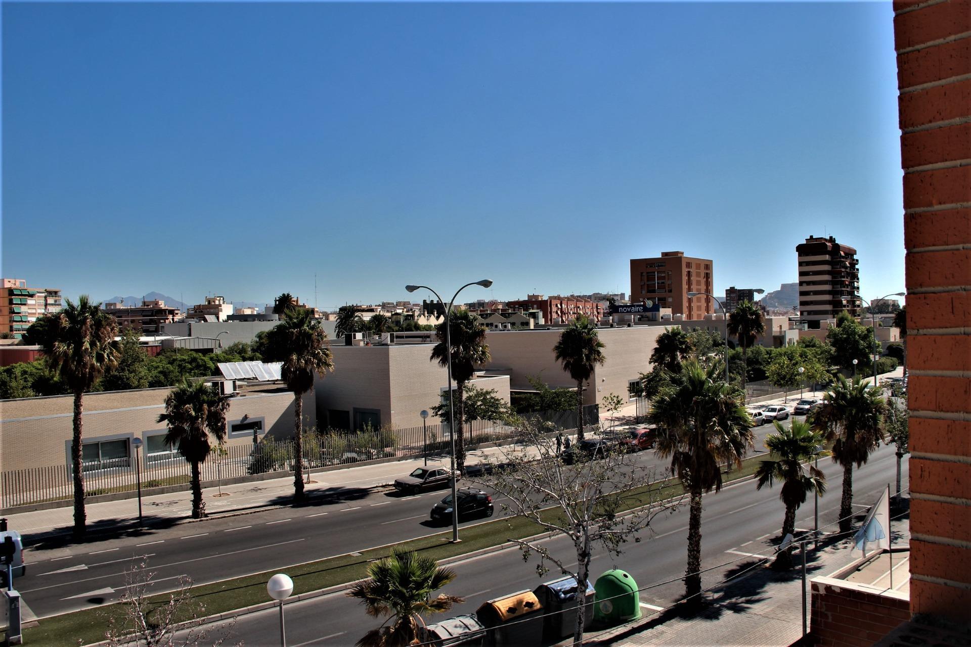 Fincas y solares-Venta-Alicante-1480147-Foto-9