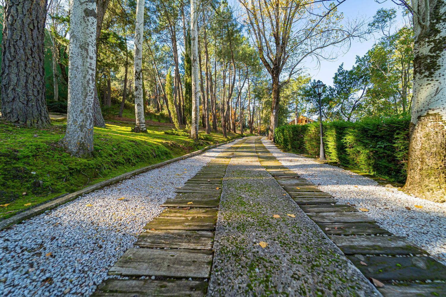 Pisos-Venta-Guadarrama-1021045-Foto-7