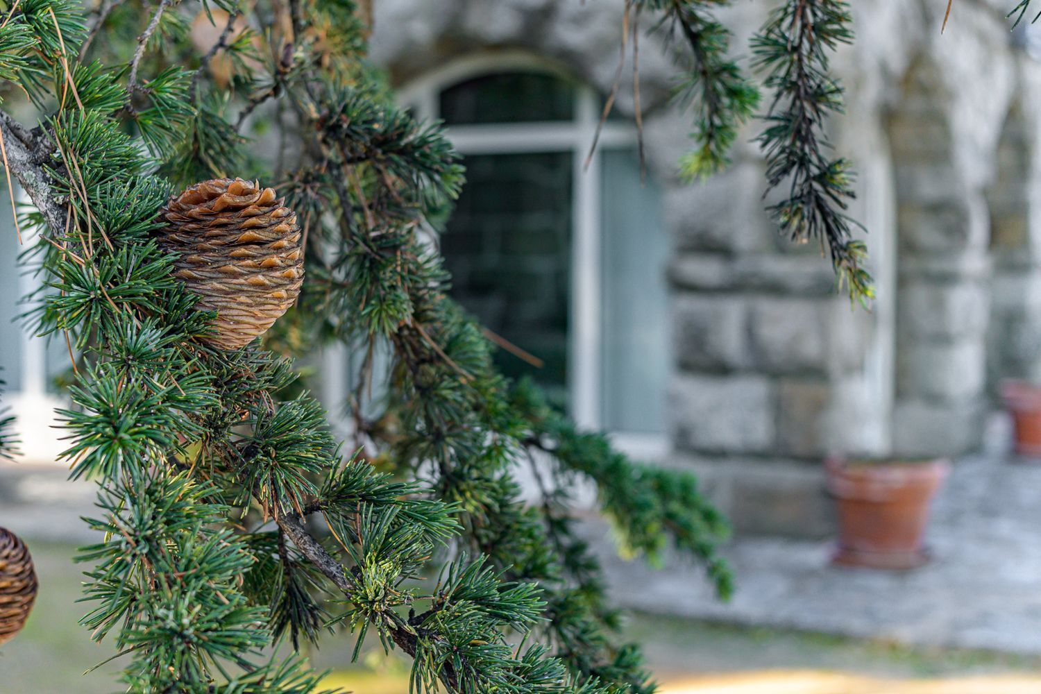 Pisos-Venta-Guadarrama-1021045-Foto-8