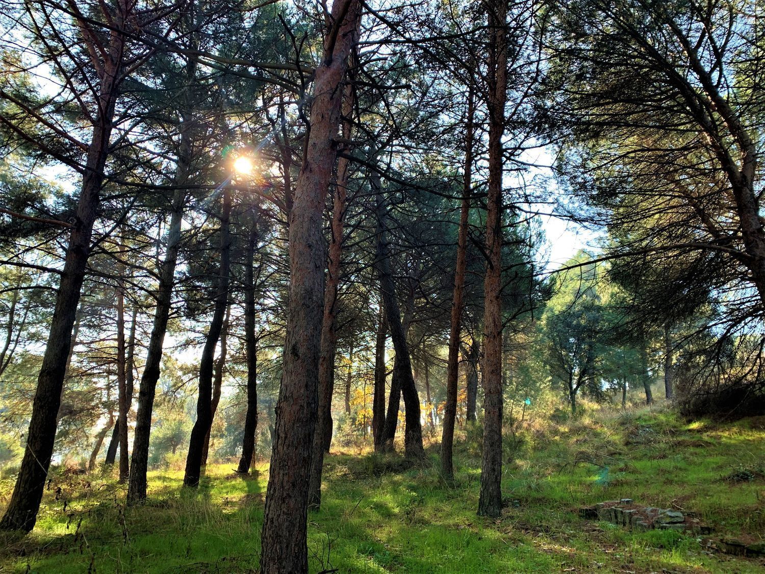 Pisos-Venta-Guadarrama-1021045-Foto-22