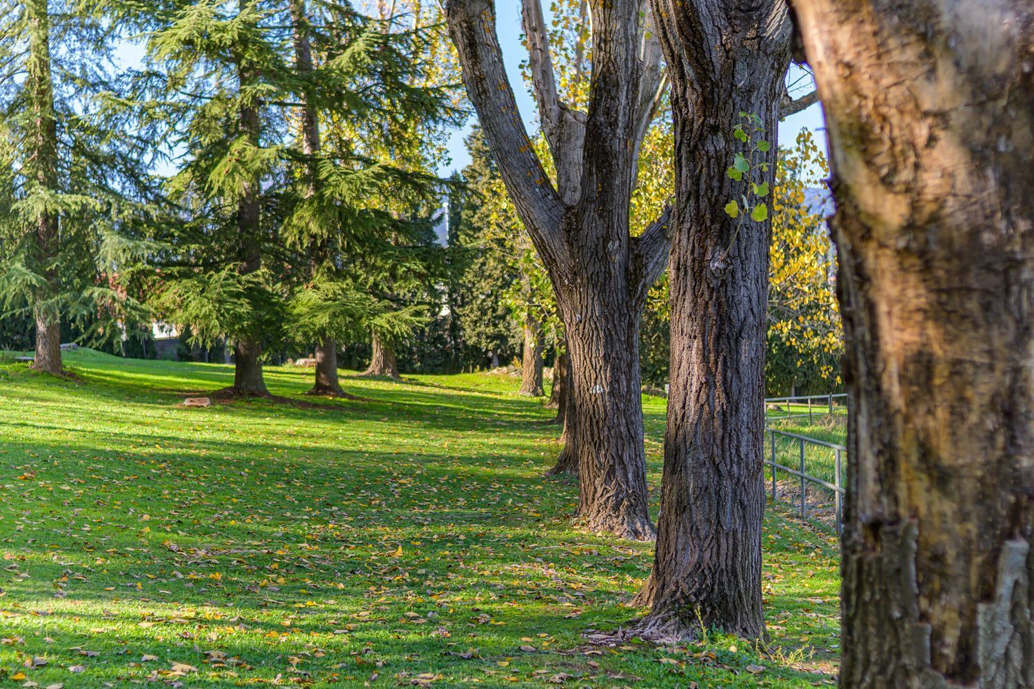 Pisos-Venta-Guadarrama-1021045-Foto-47