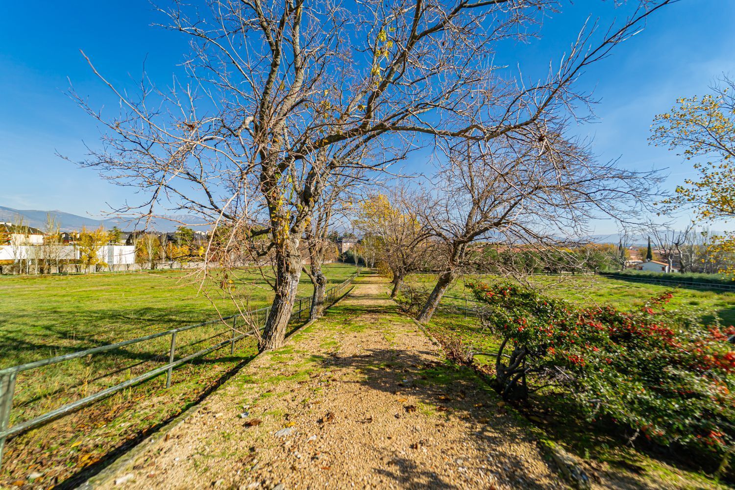 Pisos-Venta-Guadarrama-1021045-Foto-56