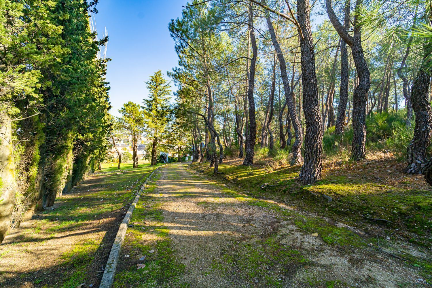 Pisos-Venta-Guadarrama-1021045-Foto-57