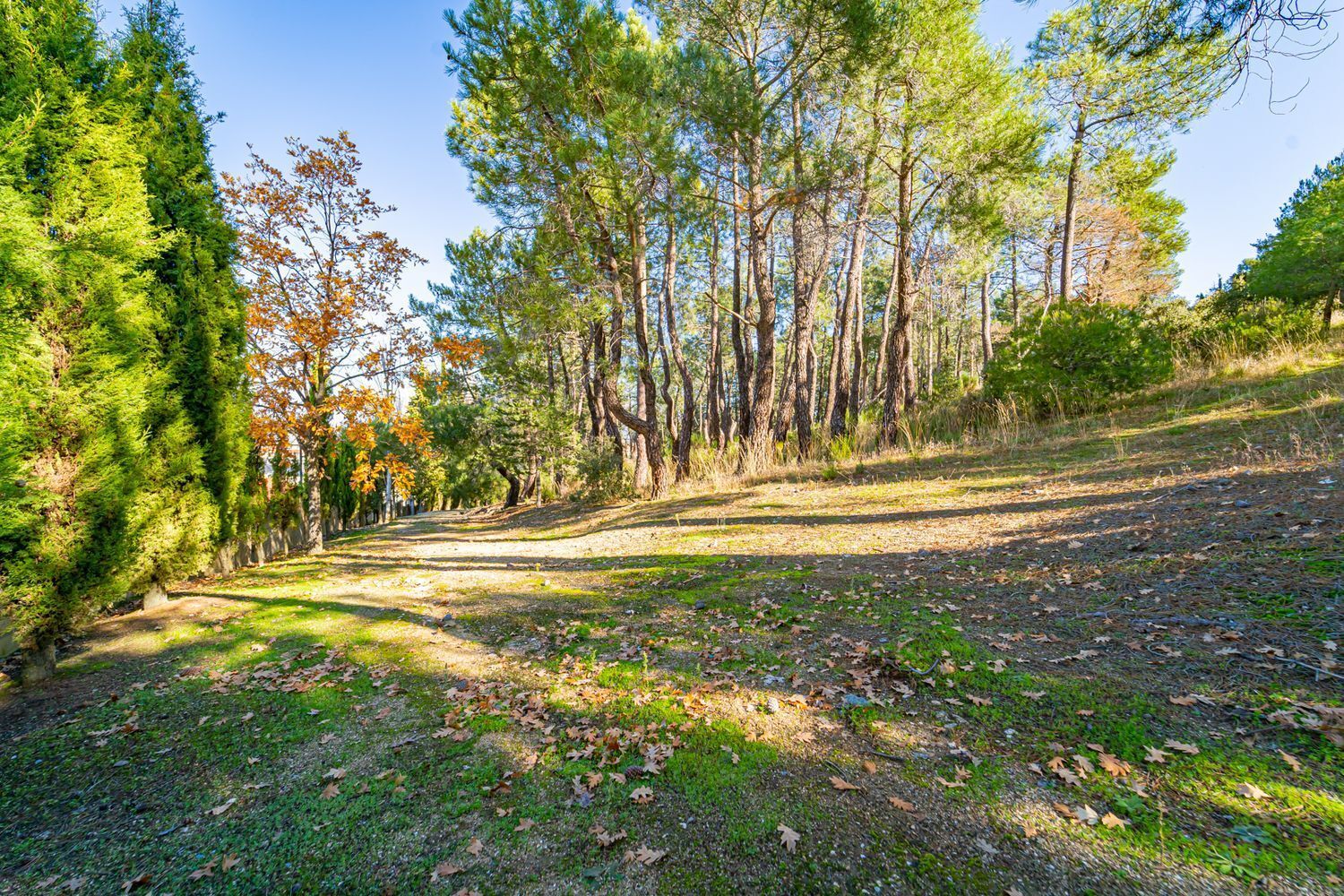 Pisos-Venta-Guadarrama-1021045-Foto-59