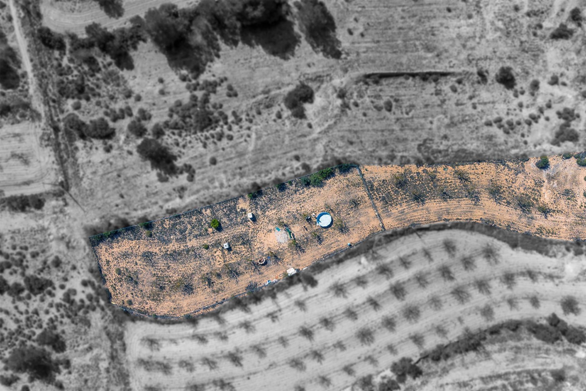 Fincas y solares-Venta-MonÃ³var-1886269-Foto-9