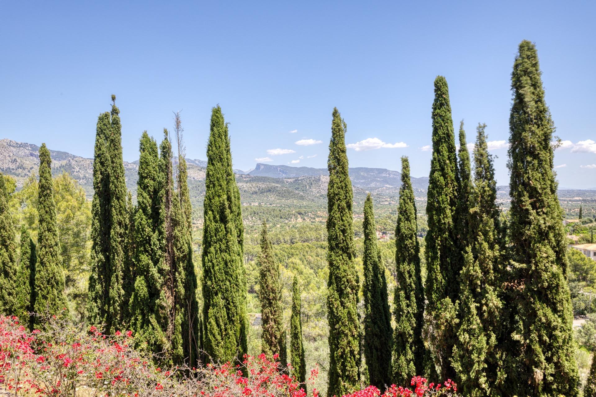 Casas o chalets-Venta-Esporles-1239107-Foto-19