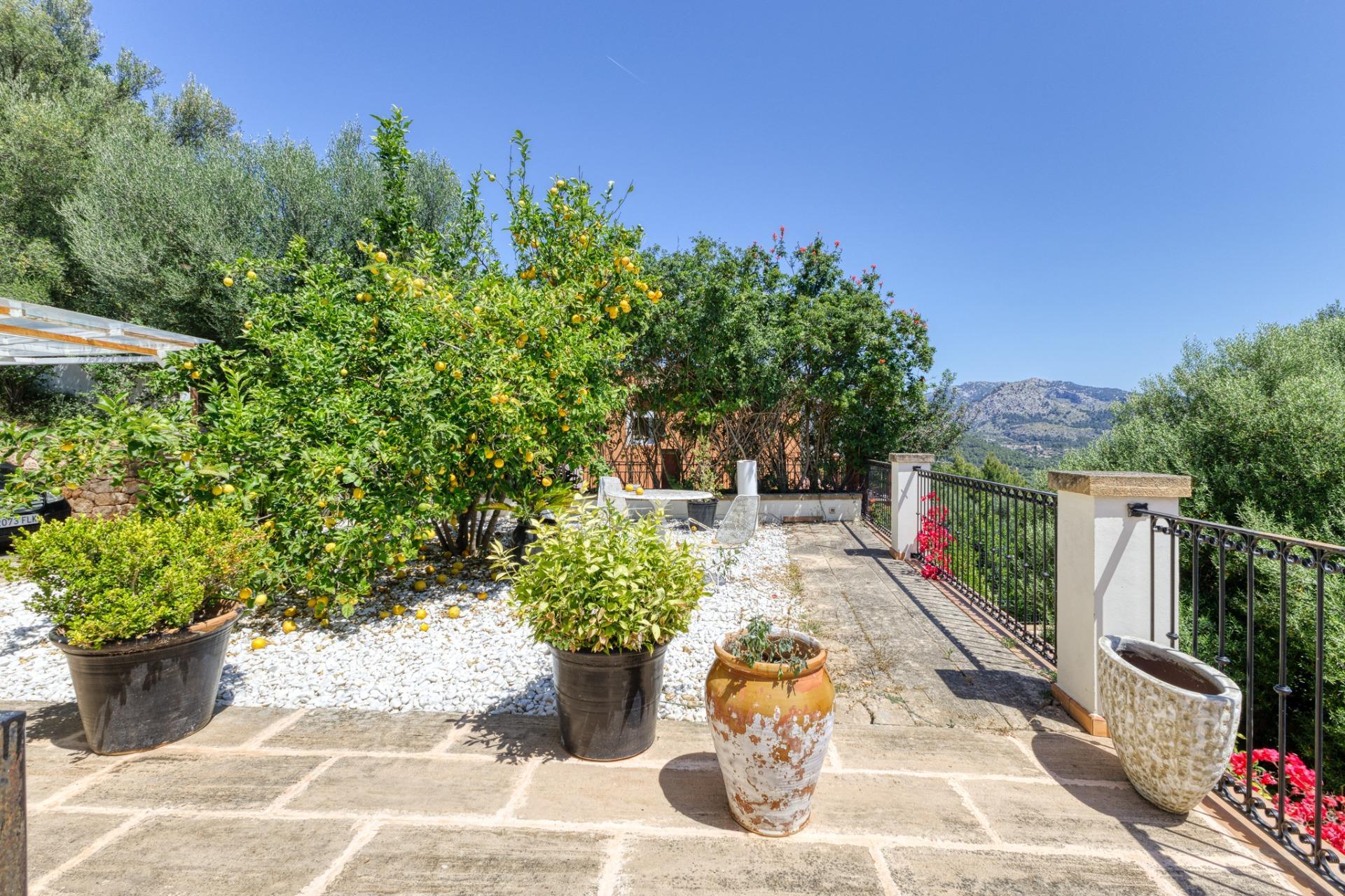 Casas o chalets-Venta-Esporles-1239107-Foto-24