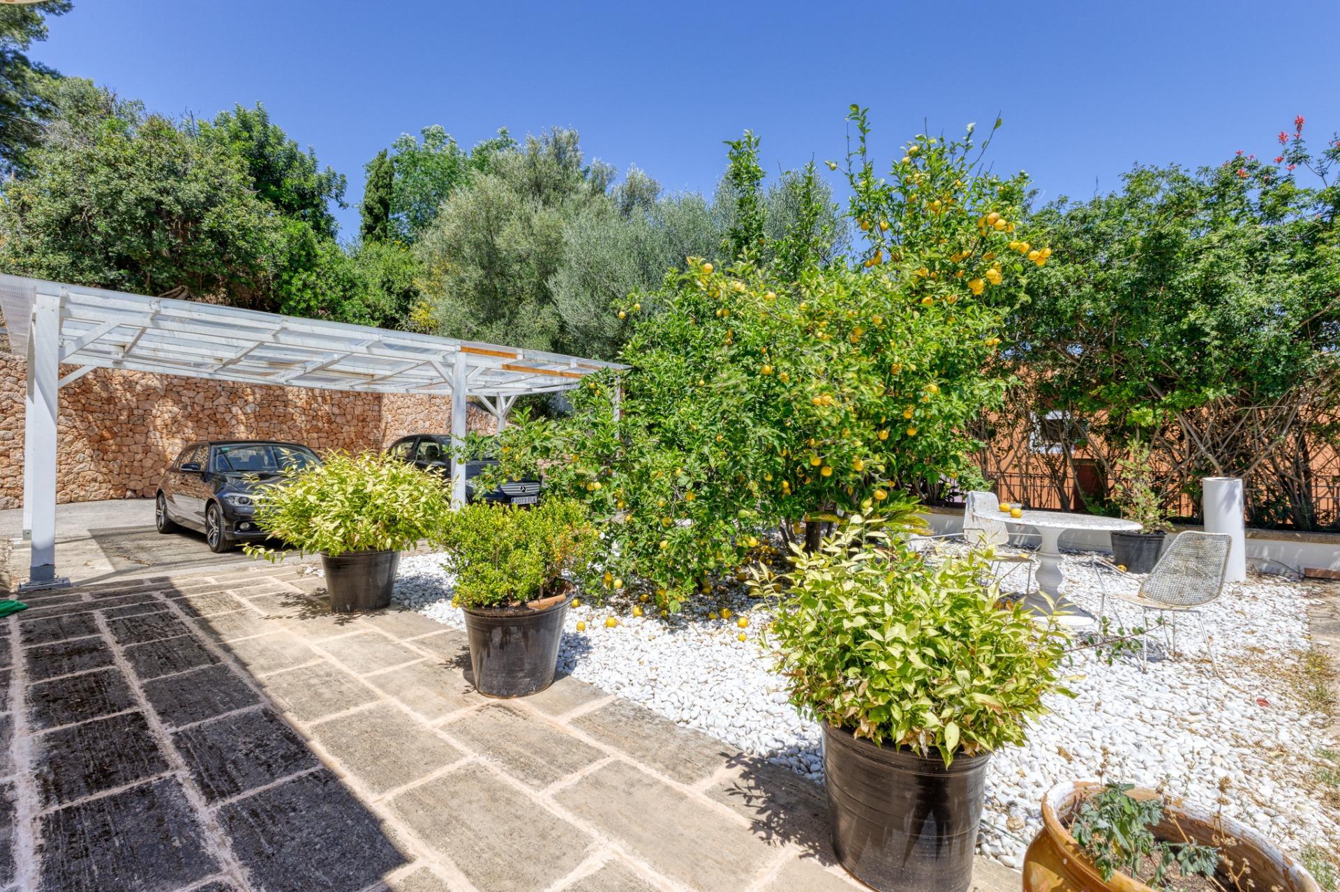 Casas o chalets-Venta-Esporles-1239107-Foto-23