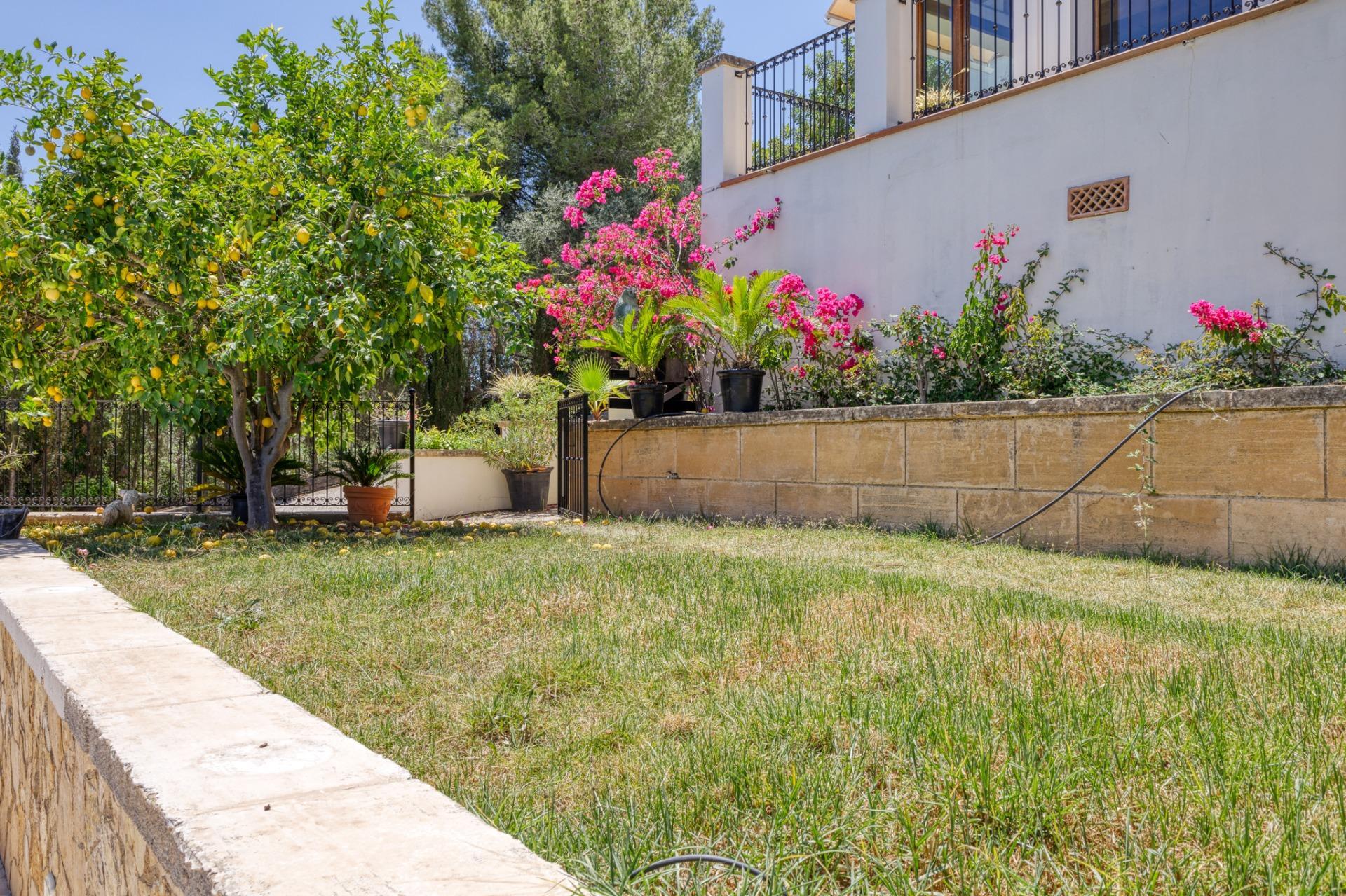 Casas o chalets-Venta-Esporles-1239107-Foto-26