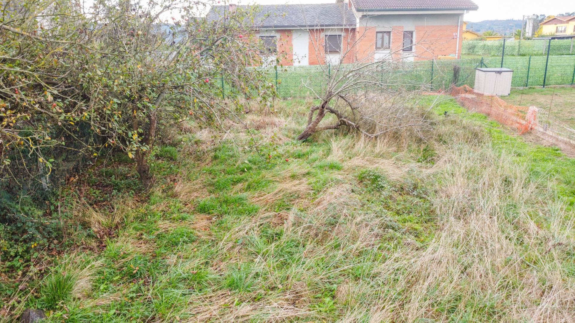 Fincas y solares-Venta-Siero-1978417-Foto-2