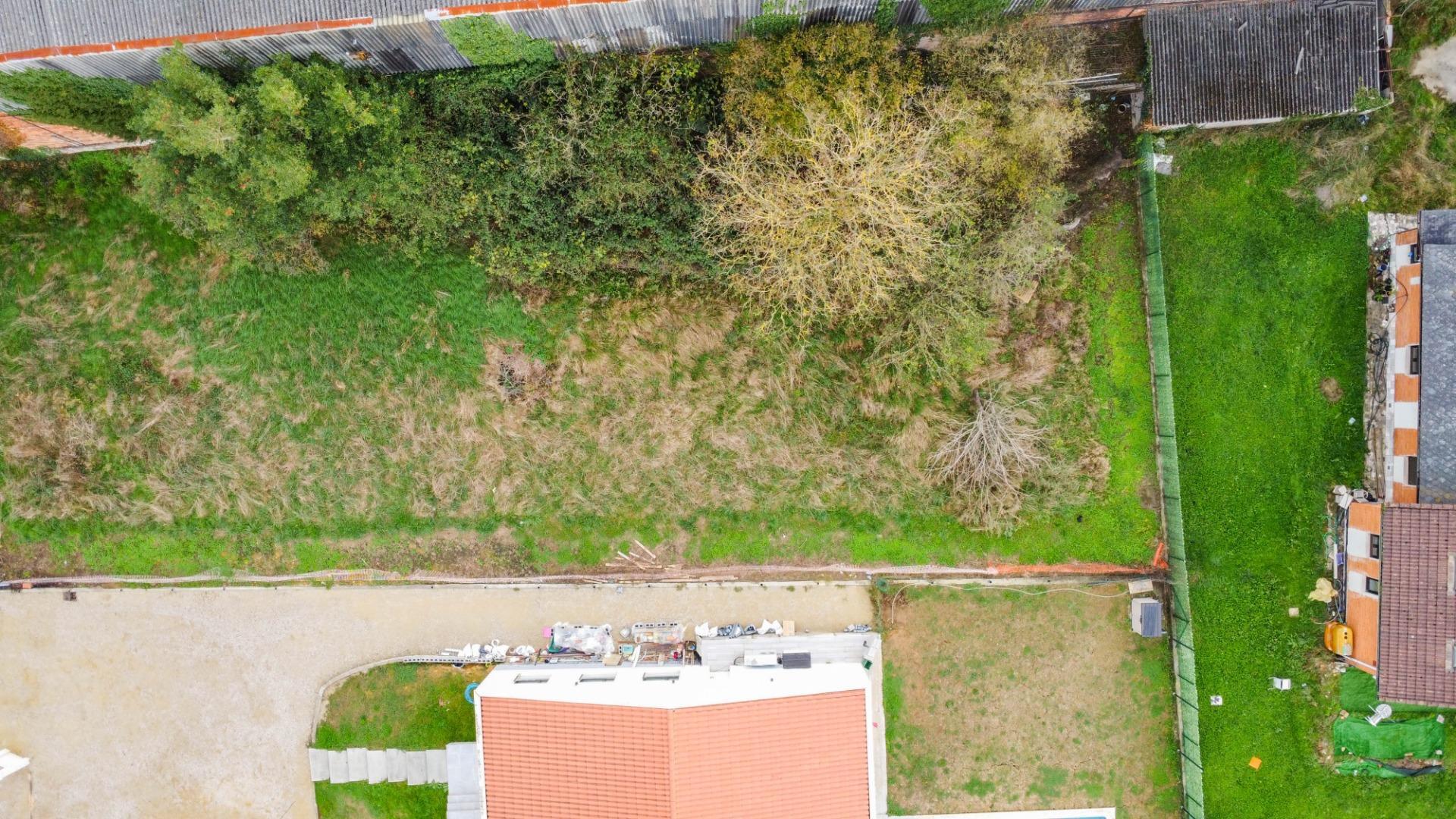 Fincas y solares-Venta-Siero-1978417-Foto-10