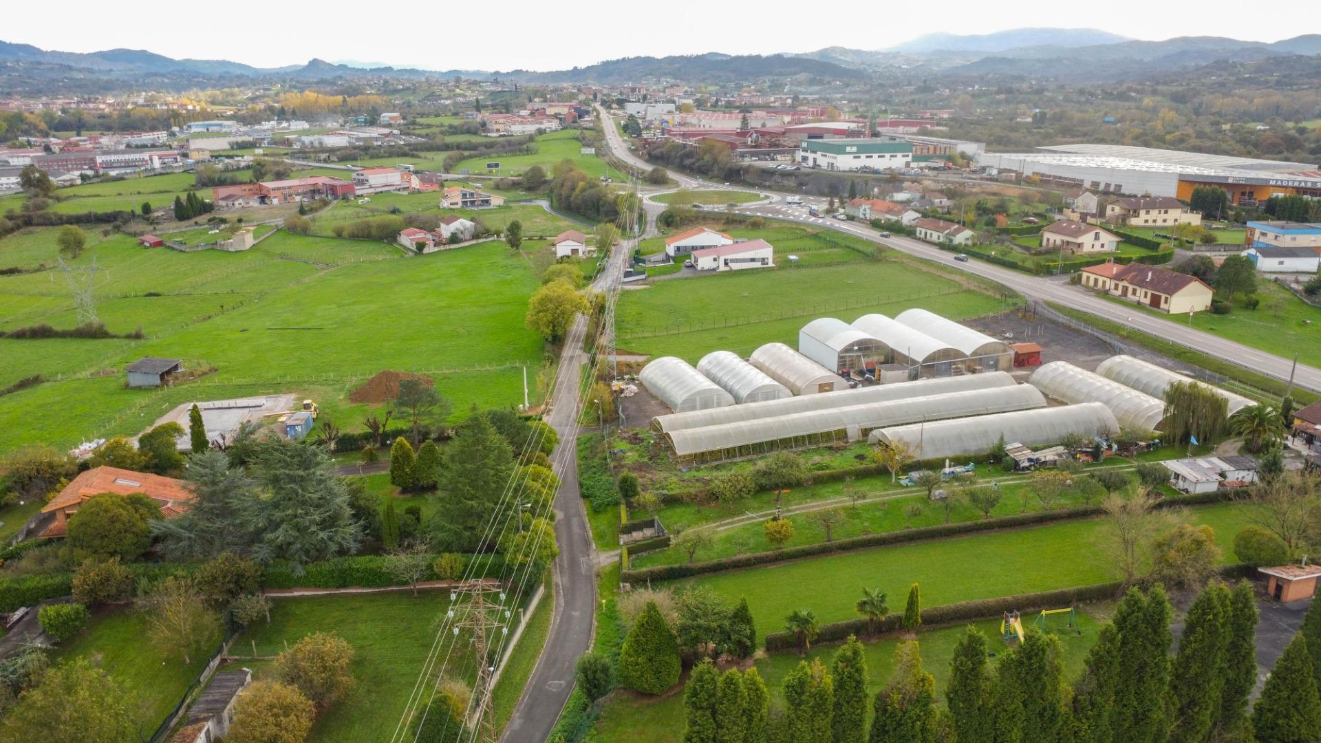 Fincas y solares-Venta-Siero-1978417-Foto-24