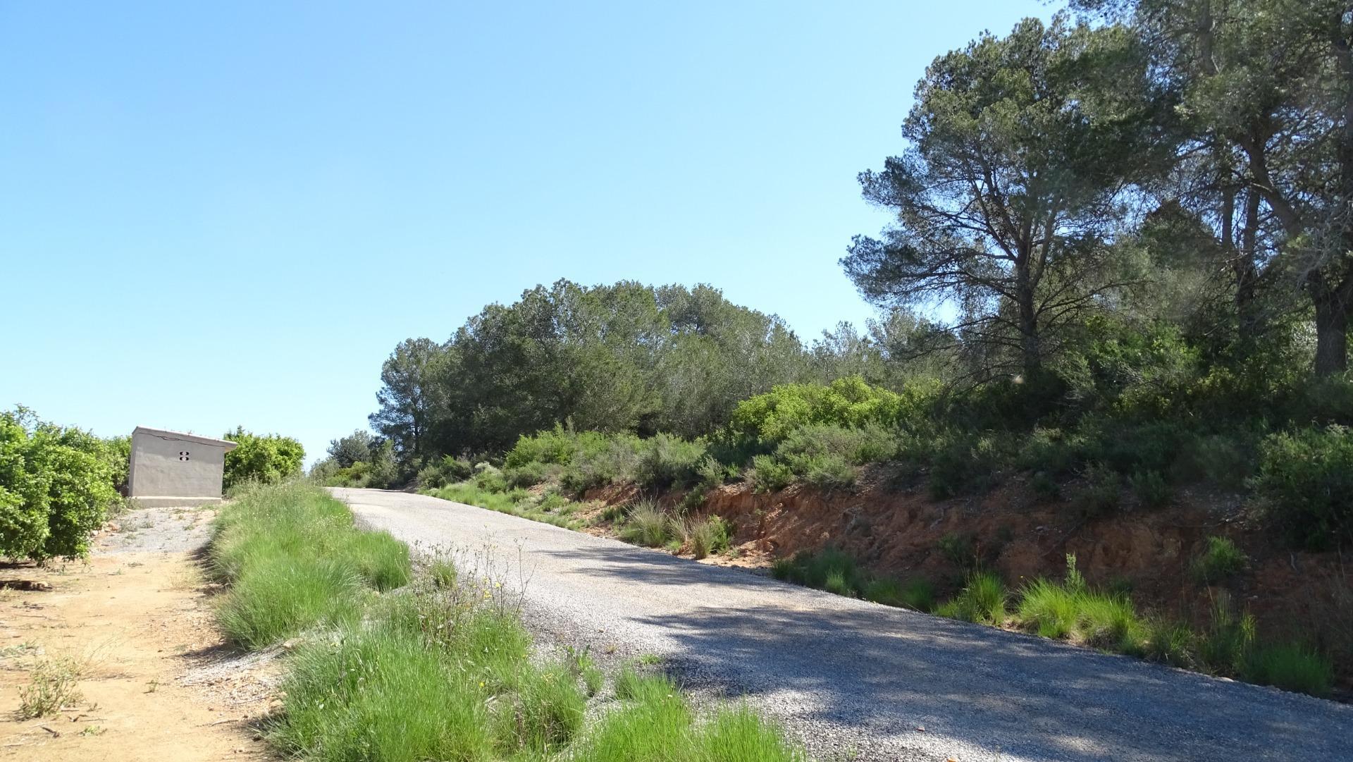 Fincas y solares-Venta-Vilamarxant-2087533-Foto-8