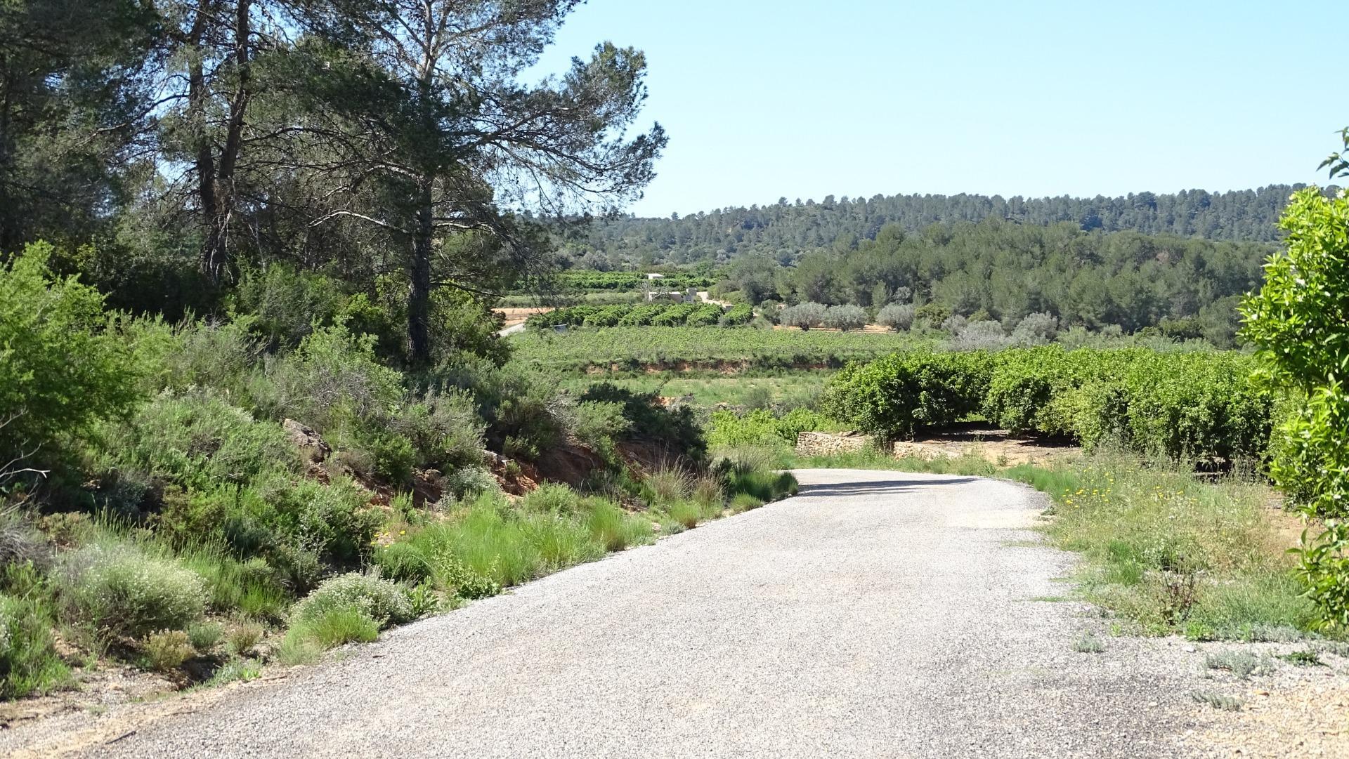 Fincas y solares-Venta-Vilamarxant-2087533-Foto-7