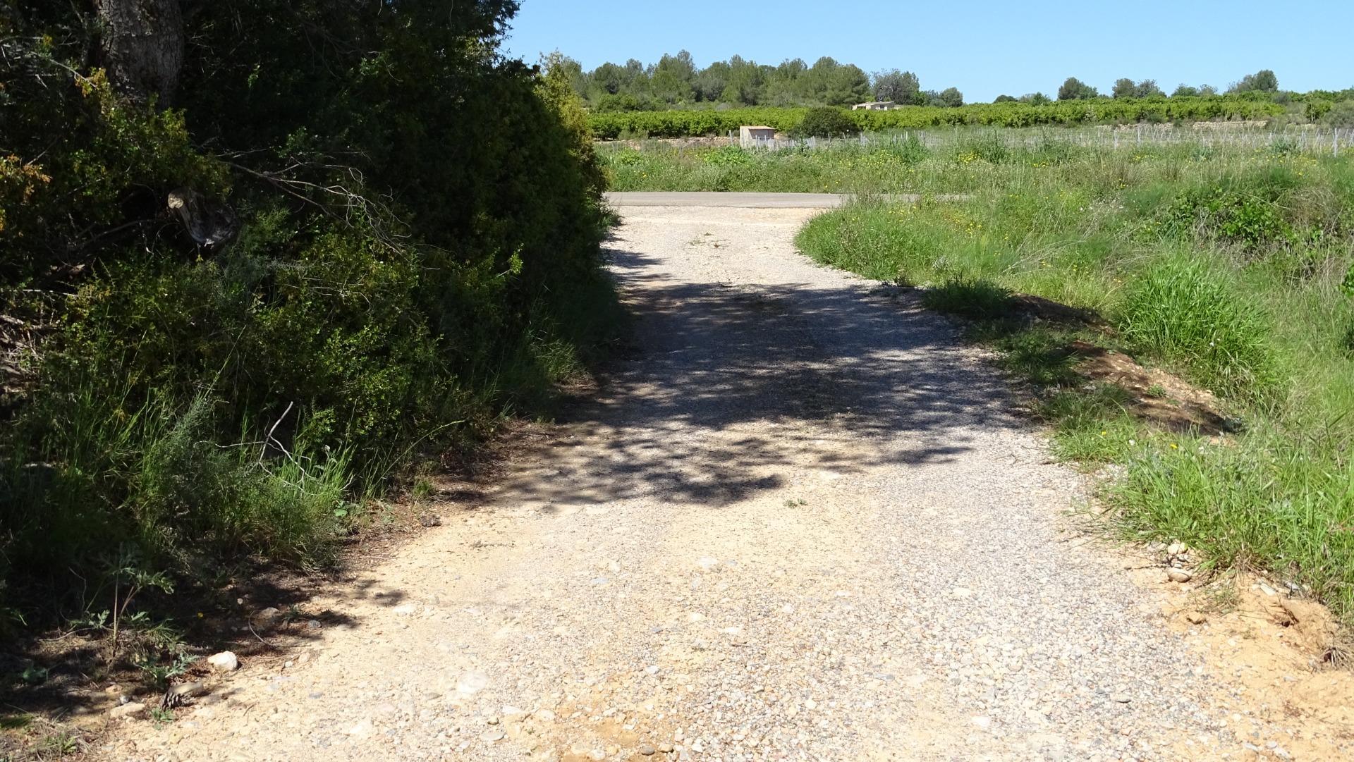 Fincas y solares-Venta-Vilamarxant-2087533-Foto-13