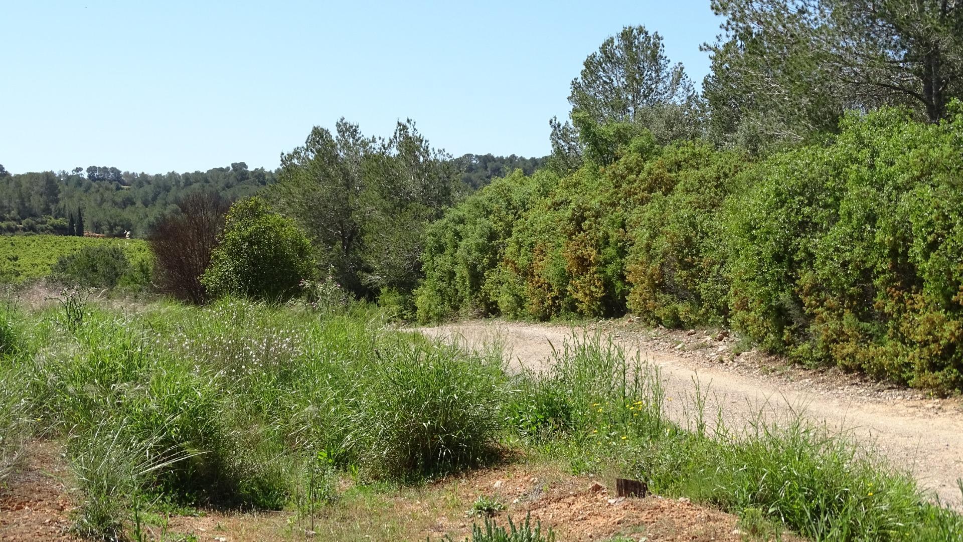 Fincas y solares-Venta-Vilamarxant-2087533-Foto-14