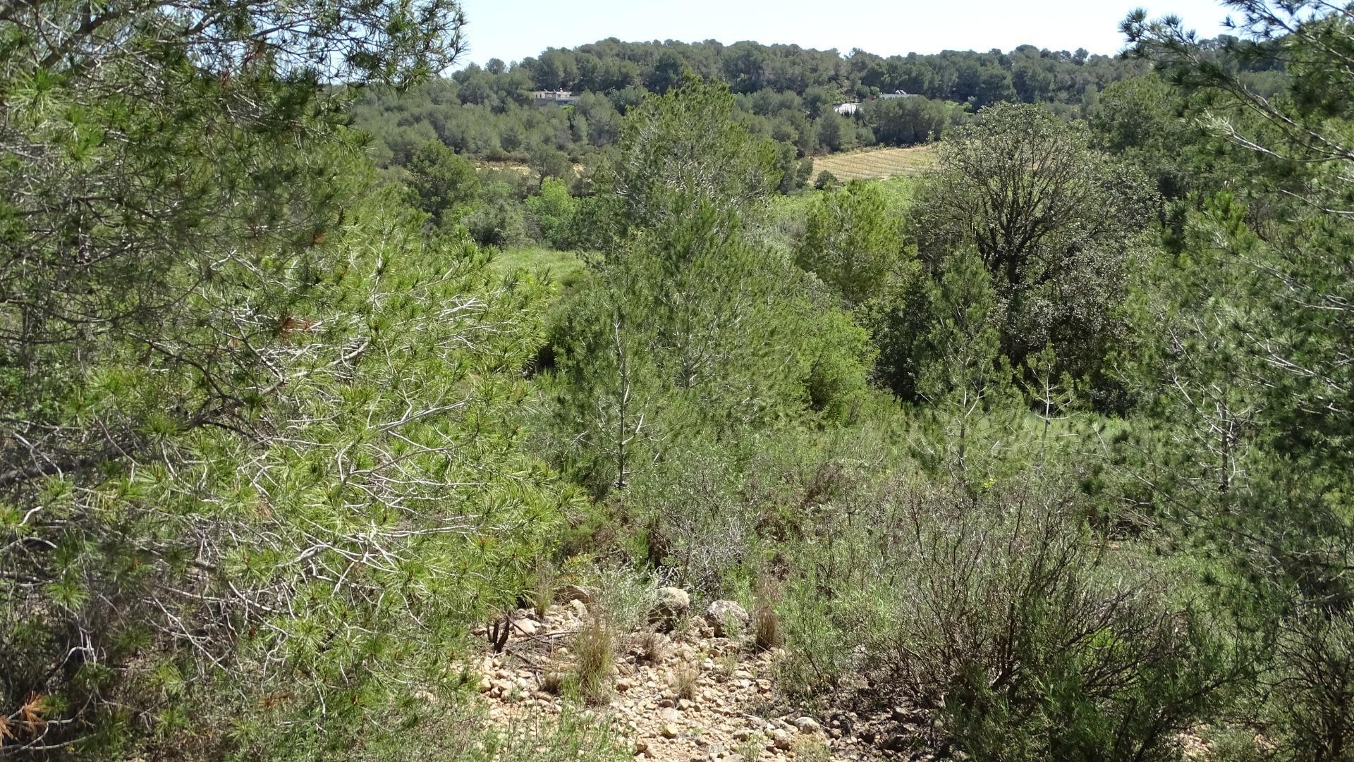 Fincas y solares-Venta-Vilamarxant-2087533-Foto-19