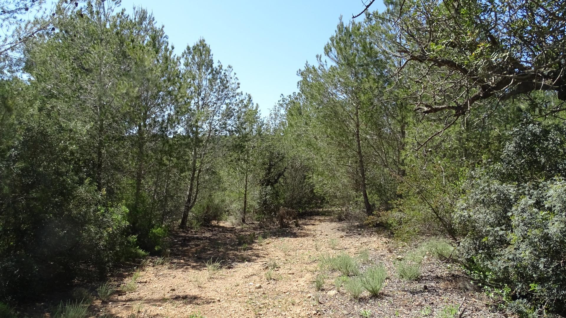 Fincas y solares-Venta-Vilamarxant-2087533-Foto-17