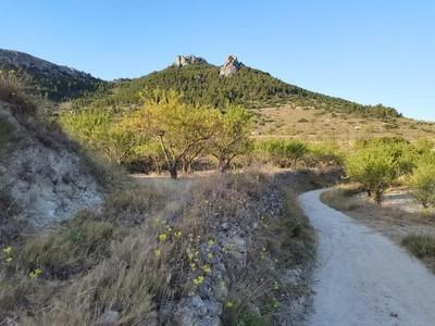 Casas o chalets-Venta-La Font de la Figuera-1766112-Foto-24