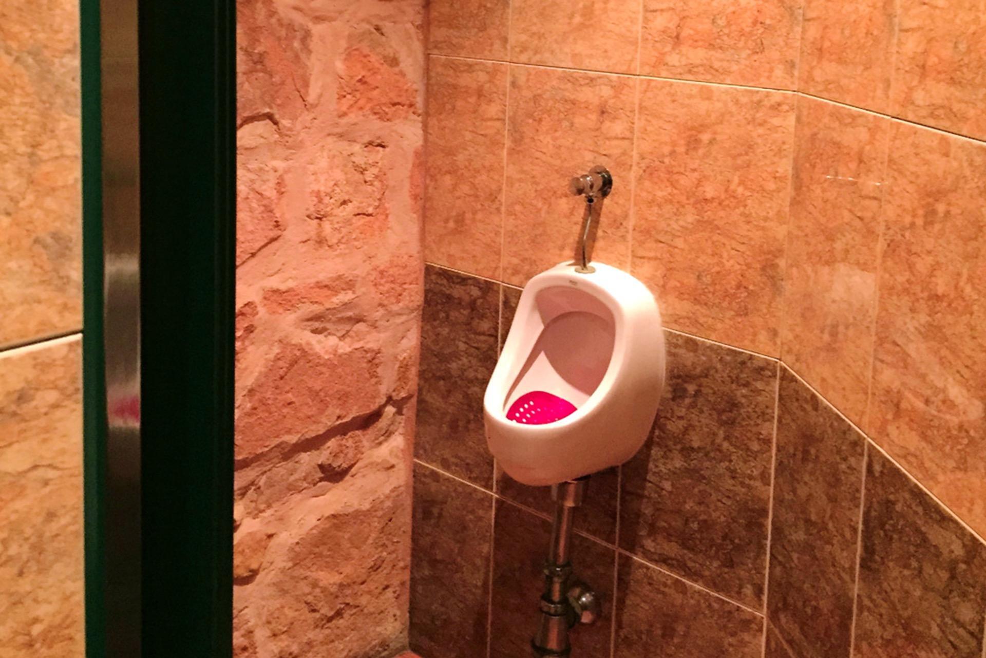 Casas o chalets-Venta-Mojados-1978444-Foto-44