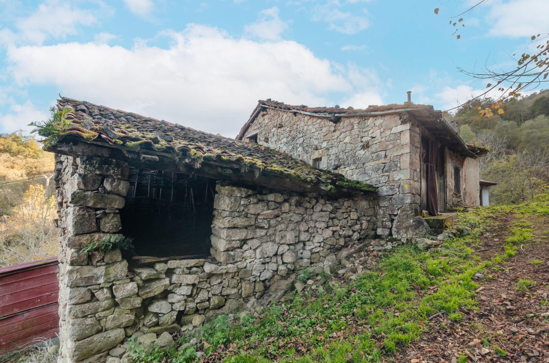 Casas o chalets-Venta-PiloÃ±a-1978447-Foto-4