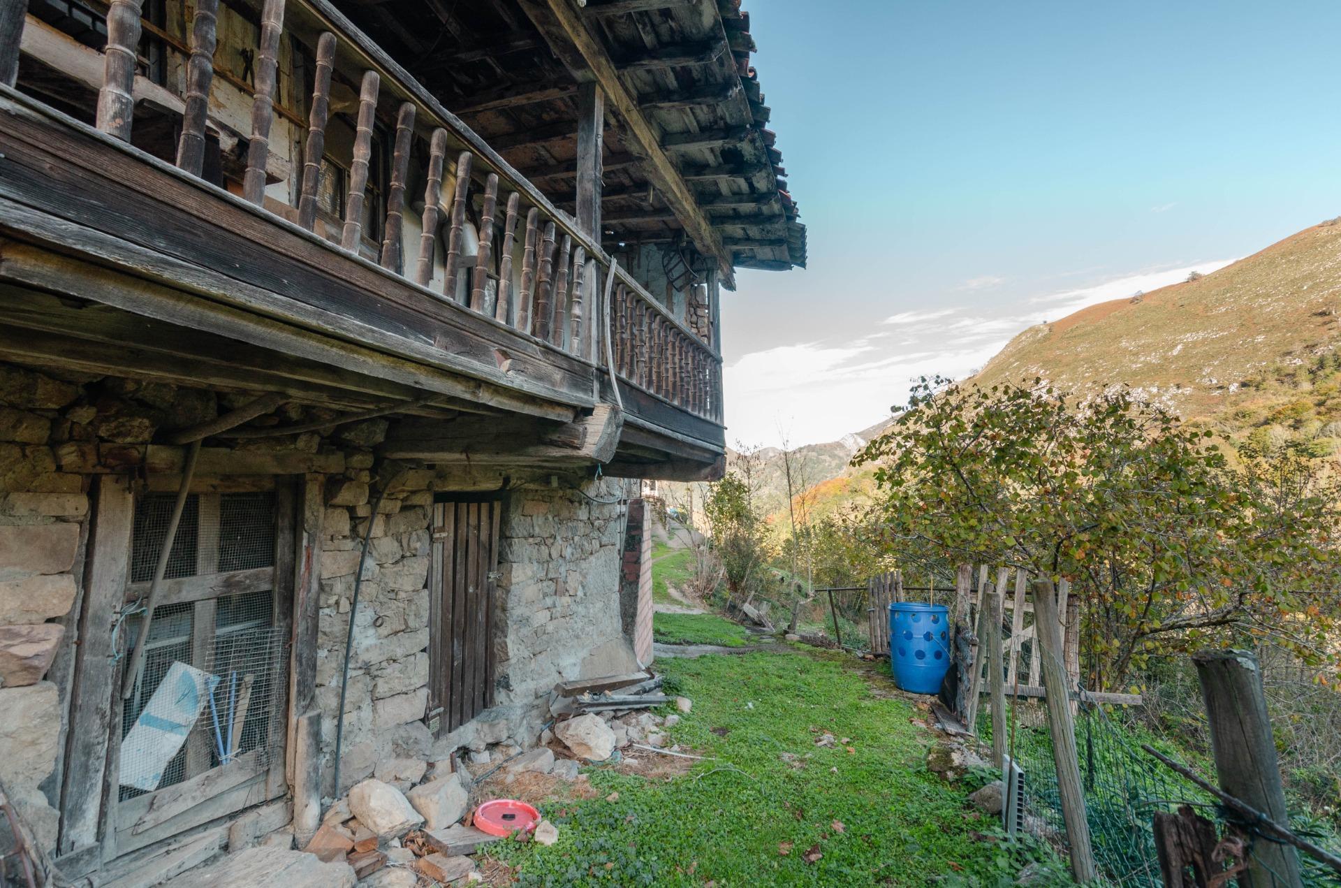 Casas o chalets-Venta-PiloÃ±a-1978447-Foto-5